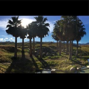 Meet your Posher, Lily